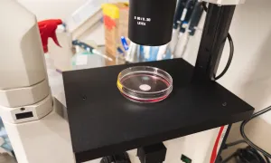 lab equipment
