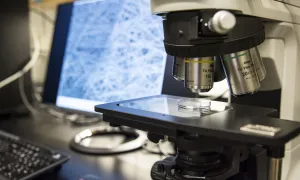 microscope used in biochemistry applications