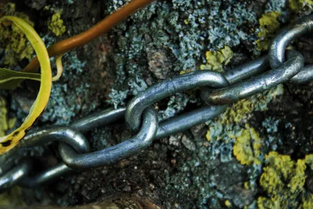 Chain-like mechanically interlocked molecules gain flexibility over traditionally bonded molecules. (Photo: Unsplash)