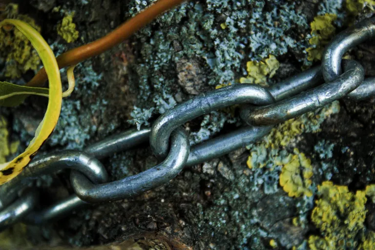 Chain-like molecules have greater flexibility of movement