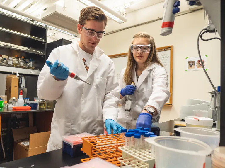 students working in lab