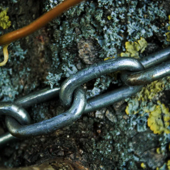 Chain-like molecules have greater flexibility of movement