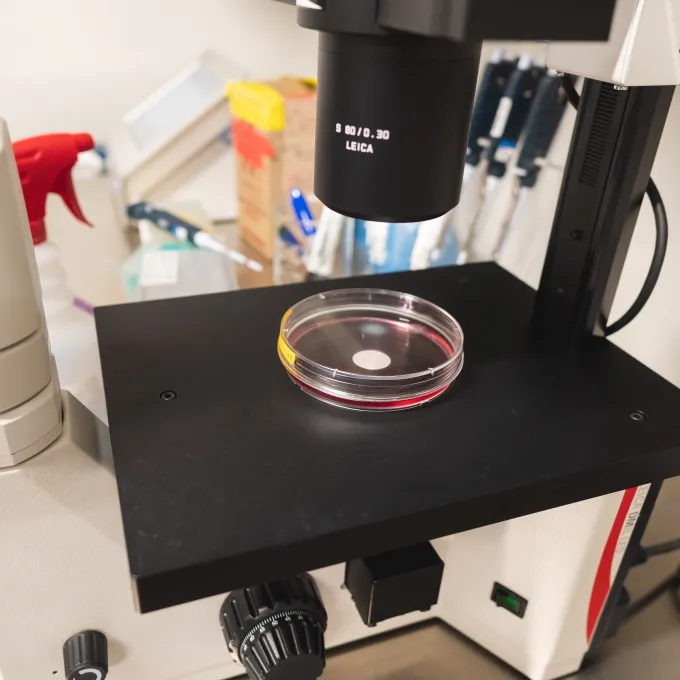 lab equipment